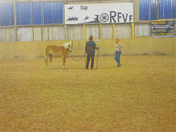 Gideon-Schroeder_Kursangebot