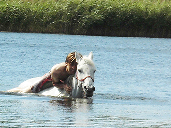 Gideon-Schroeder_asrael